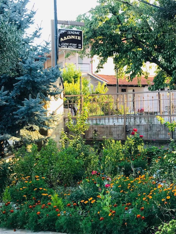Guesthouse Adonis Káto Loutrákion Eksteriør bilde